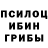 Псилоцибиновые грибы Magic Shrooms nomaJkee
