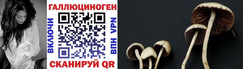 что такое   МЕГА   Псилоцибиновые грибы Magic Shrooms  Белый 